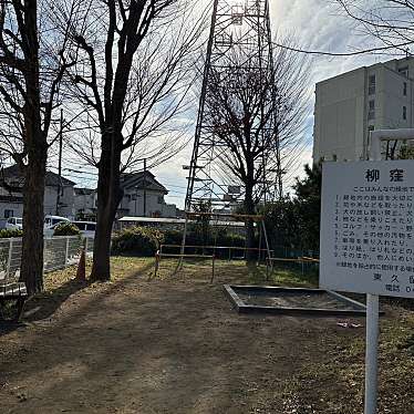 実際訪問したユーザーが直接撮影して投稿した柳窪公園柳窪第2緑地の写真