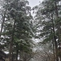 実際訪問したユーザーが直接撮影して投稿した志比寺永平寺の写真