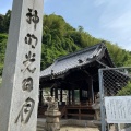 実際訪問したユーザーが直接撮影して投稿した草津東神社鷺森神社の写真