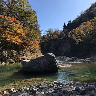 実際訪問したユーザーが直接撮影して投稿した秋保町湯元カフェ木の家 珈琲館の写真