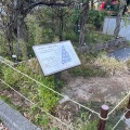 実際訪問したユーザーが直接撮影して投稿した神南庭園SHIBUYA バラ花壇の写真