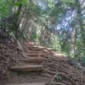 実際訪問したユーザーが直接撮影して投稿した伊豆山神社伊豆山神社の写真