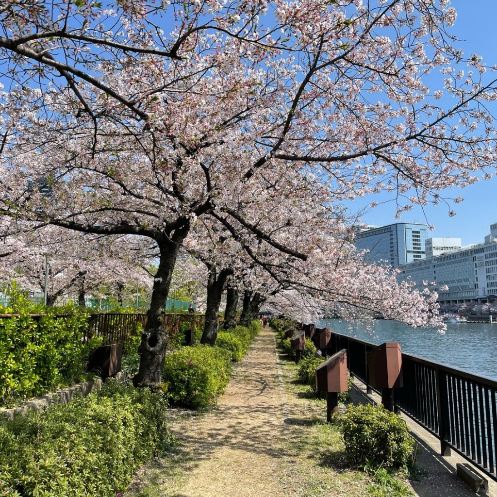 かずくんグルメと旅行さんが投稿した天満公園のお店南天満公園/ミナミテンマコウエンの写真