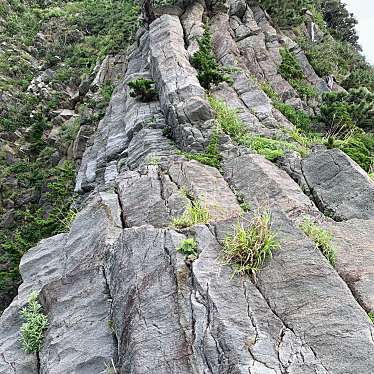 実際訪問したユーザーが直接撮影して投稿した中木海岸 / 岬中木海岸の写真