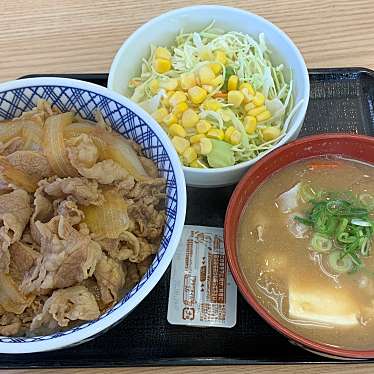 実際訪問したユーザーが直接撮影して投稿した市田町牛丼吉野家 赤塚パーキングエリア店の写真