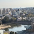 実際訪問したユーザーが直接撮影して投稿した河川三ツ池の写真