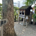 実際訪問したユーザーが直接撮影して投稿した茶臼山町神社黒龍社の写真