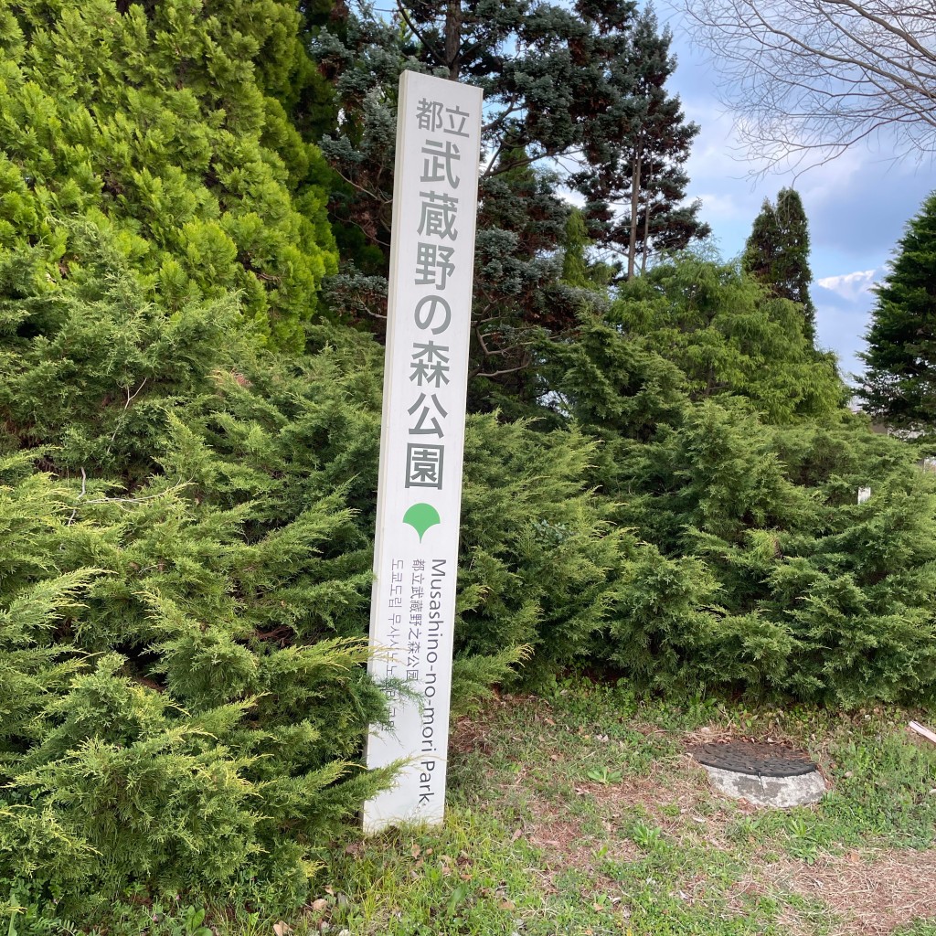 実際訪問したユーザーが直接撮影して投稿した朝日町公園武蔵野の森公園の写真
