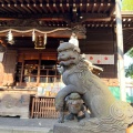 実際訪問したユーザーが直接撮影して投稿した西ケ原神社七社神社の写真