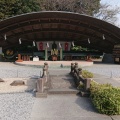 実際訪問したユーザーが直接撮影して投稿したしらさぎ神社白鷺神社の写真