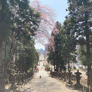 セリオン坊やさんが投稿した東照宮神社のお店仙台東照宮/センダイトウショウグウの写真