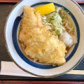 とり天ぶっかけうどん - 実際訪問したユーザーが直接撮影して投稿した大桑うどんめん房 本陣 大桑店の写真のメニュー情報