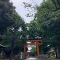 実際訪問したユーザーが直接撮影して投稿した旗の台神社旗岡八幡神社の写真