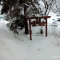 実際訪問したユーザーが直接撮影して投稿した東旭川町上兵村銭湯 / サウナ・岩盤浴龍乃湯温泉の写真