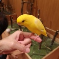 実際訪問したユーザーが直接撮影して投稿した那珂テーマカフェMoff animal cafe ららぽーと福岡店の写真