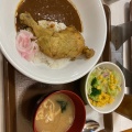 カレーミニ - 実際訪問したユーザーが直接撮影して投稿した上間牛丼すき家 329号那覇上間店の写真のメニュー情報