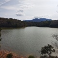 実際訪問したユーザーが直接撮影して投稿した公園篠栗九大の森の写真