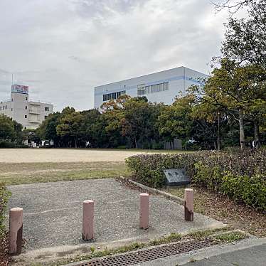 実際訪問したユーザーが直接撮影して投稿した西宮浜公園北公園の写真