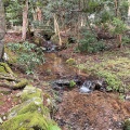 実際訪問したユーザーが直接撮影して投稿した寺家町神社気多大社の写真