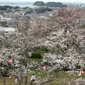 実際訪問したユーザーが直接撮影して投稿した後田町公園戦場ヶ原公園の写真