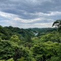 実際訪問したユーザーが直接撮影して投稿した山ノ内寺建長寺 半僧坊の写真