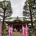 実際訪問したユーザーが直接撮影して投稿した今戸神社今戸神社の写真