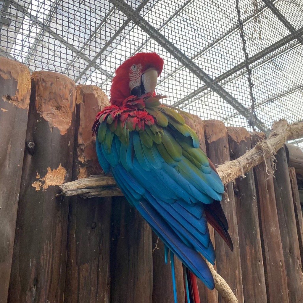 ましゅっこさんが投稿した港島南町動物園のお店神戸どうぶつ王国/こうべどうぶつおうこくの写真