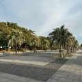 実際訪問したユーザーが直接撮影して投稿した舞浜公園浦安市舞浜運動公園の写真