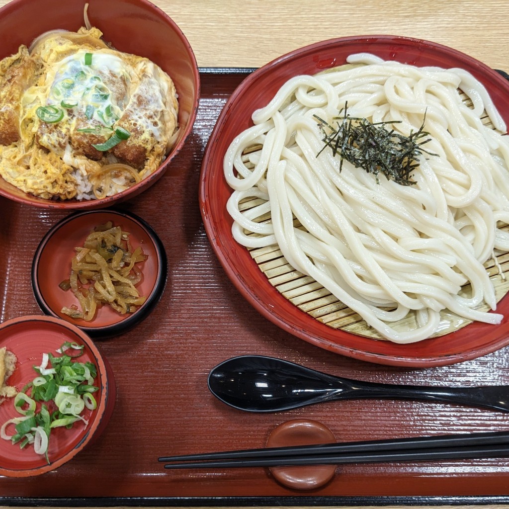 ユーザーが投稿したカツ丼定食の写真 - 実際訪問したユーザーが直接撮影して投稿した萩之庄うどん杵屋 高槻イオン店の写真