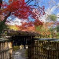 実際訪問したユーザーが直接撮影して投稿した龍安寺御陵ノ下町庭園龍安寺 方丈庭園 (石庭)の写真