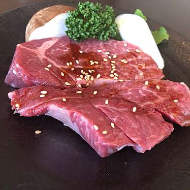 実際訪問したユーザーが直接撮影して投稿した棟高町肉料理焼肉ヤマト エクスプレス イオンモール高崎店の写真
