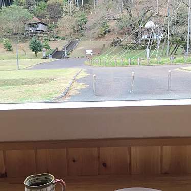 実際訪問したユーザーが直接撮影して投稿した根尾板所カフェCafe Neo デザートと飲み物 淡墨桜を眺める癒しの空間の写真