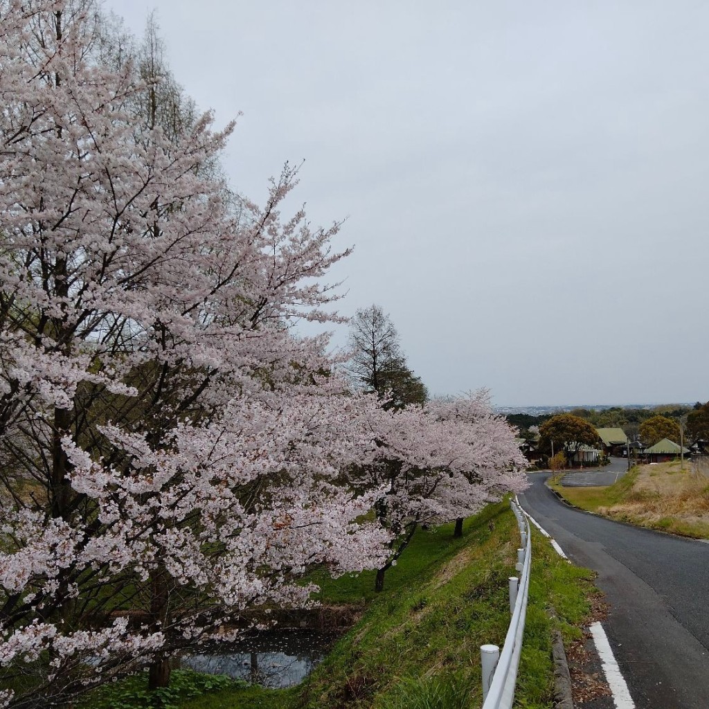 実際訪問したユーザーが直接撮影して投稿した下唐原公共宿舎大池公園ふれあいの里 ログハウスの写真