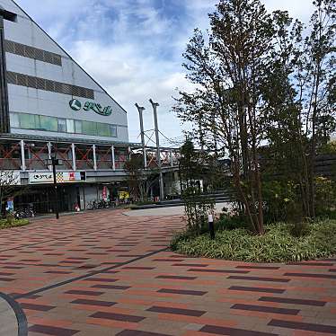 ぶどううり・くすこさんが投稿した竹谷町公園のお店出屋敷駅北緑地/デヤシキエキキタリョクチの写真