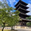 実際訪問したユーザーが直接撮影して投稿した御室大内寺仁和寺の写真