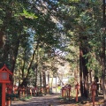 実際訪問したユーザーが直接撮影して投稿した惣社町神社大神神社の写真