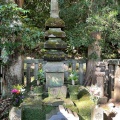 実際訪問したユーザーが直接撮影して投稿した西御門歴史 / 遺跡源頼朝の墓所の写真