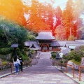 実際訪問したユーザーが直接撮影して投稿した一ノ宮神社一之宮貫前神社の写真