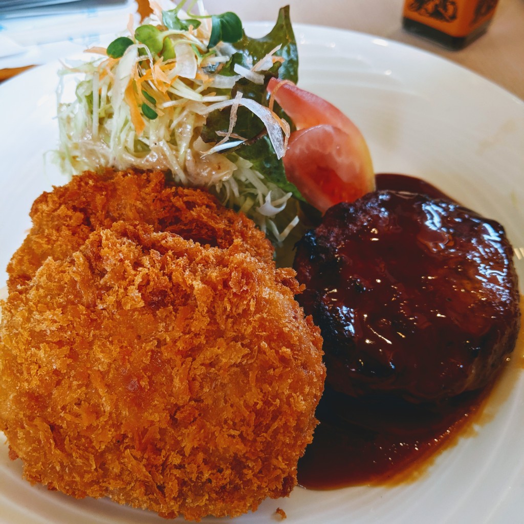 ユーザーが投稿したハンバーグ&コロッケ定食の写真 - 実際訪問したユーザーが直接撮影して投稿した宝田町西洋料理サン・プリンセスの写真