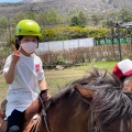 実際訪問したユーザーが直接撮影して投稿した芦田八ケ野遊園地 / テーマパーク白樺リゾート 池の平ファミリーランドの写真