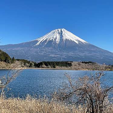 ロムスカ・ダークネスさんが投稿した猪之頭湖沼 / 池のお店田貫湖/タヌキコの写真