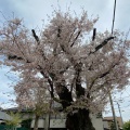 実際訪問したユーザーが直接撮影して投稿した砧公園砧6丁目公園の写真