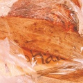 実際訪問したユーザーが直接撮影して投稿した西十五条南ベーカリー加納製パンの写真