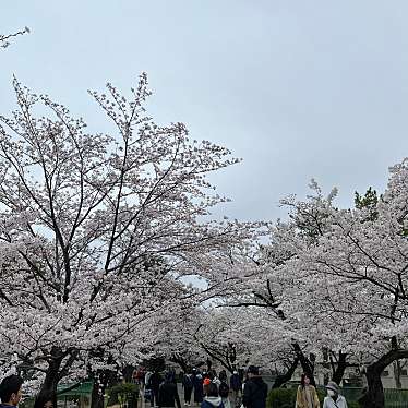 大宮公園のundefinedに実際訪問訪問したユーザーunknownさんが新しく投稿した新着口コミの写真