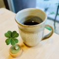 手摘み完熟豆 - 実際訪問したユーザーが直接撮影して投稿した堺町(高倉通)カフェカエル コーヒーの写真のメニュー情報