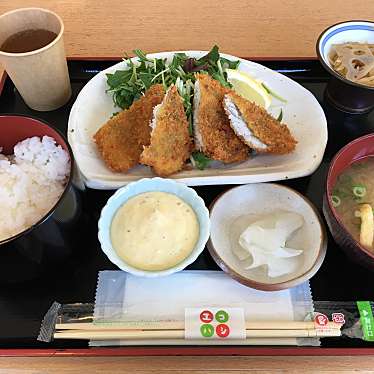 実際訪問したユーザーが直接撮影して投稿した後地町定食屋大黒食堂の写真