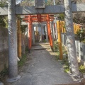 実際訪問したユーザーが直接撮影して投稿した西公園神社光雲神社の写真