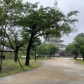 実際訪問したユーザーが直接撮影して投稿した亥鼻公園亥鼻公園の写真