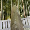 実際訪問したユーザーが直接撮影して投稿した八幡地域名所八幡の藪知らずの写真