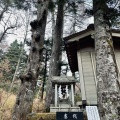 実際訪問したユーザーが直接撮影して投稿した上吉田神社新屋 山神社 奥宮の写真